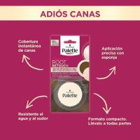 Retoca raíces compact rubio oscuro PALETTE, 1 ud