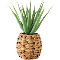 Planta artificial Aloe suculenta con tiesto seagrass KASA, Ø17cm x alto 38 cm