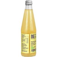 VIVER KOMBUCHA anana eta mendafin konbutxa, botilatxoa 330 ml