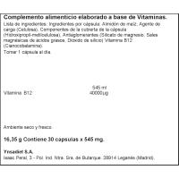 Vitamina B12 NATURTIERRA, bote 16,35 g