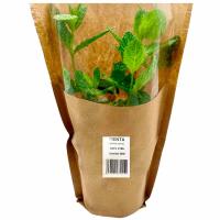 Cono de menta GROOTS, 1 ud