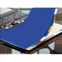 Separador tamaño folio, 16 taladros, plástico opaco LIDERPAPEL, pack 10 uds