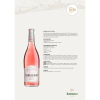 Vino Rosado Otras Zonas BARBADILLO, botella 75 cl