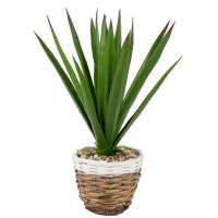 Planta artificial: Aloe Vera en maceta de paja natural y blanca, 1 ud