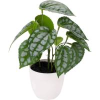 Planta artificial de hojas verdes en maceta de plástico blanco, 1 ud