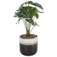 Planta artificial: Alocasia verde con maceta tricolor, 1 ud