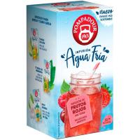 POMPADOUR fruitu gorri infusio hotza, kutxa 20 ale