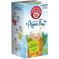 Té verde hierbabuena agua fría POMPADOUR, caja 20 uds