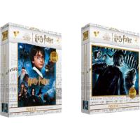 HARRY POTTER 3D efektuko puzzlea, 100 pieza, adina +6 urte, Zein iritsiko zaizu, 31x23cm