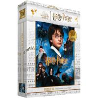 HARRY POTTER 3D efektuko puzzlea, 100 pieza, adina +6 urte, Zein iritsiko zaizu, 31x23cm