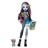 Muñeca Frankie Stein, edad rec: +4 años MONSTER HIGH