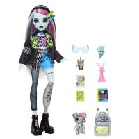 Muñeca Frankie Stein, edad rec: +4 años MONSTER HIGH