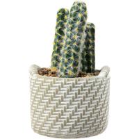 Planta artificial: Cactus en maceta entrelazada KASA, Ø12x19 cm