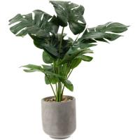 Planta artificial: Mostera verde en maceta de cemento KASA, Ø10x45 cm