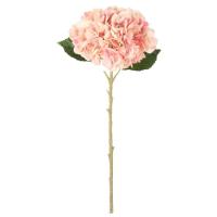 Tallo artificial de Hortensia rosa KASA, Ø2x51 cm