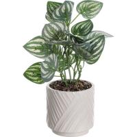 Planta artificial Sandía Peperomia en maceta blanca KASA, 25x13,3x10 cm