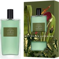 Colonia Agua Selva Exótica para hombre V&L, spray 150 ml