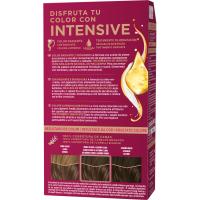 Tinte 5-1 castaño claro ceniza 5-1 PALETTE INTENSE, caja 1 ud