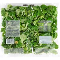 Dúo de canónigos y rúcula EROSKI, bolsa 100 g