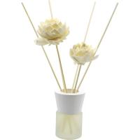 KASA Lemongrass barreiagailua 50 ml lore zuriarekin, 6,5x27x9 cm