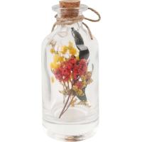 Botella con flores secas en el interior y tapón de corcho KASA, 6x6x14 cm