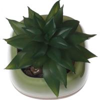 Planta artificial suculenta en maceta verde y beige KASA, 6x5,5x9 cm
