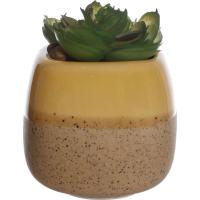 Planta artificial suculenta en maceta amarilla y beige KASA, 6x5,5x8 cm