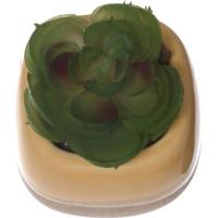 Planta artificial suculenta en maceta amarilla y beige KASA, 6x5,5x8 cm