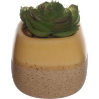 Planta artificial suculenta en maceta amarilla y beige KASA, 6x5,5x8 cm
