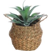 Planta artificial en cesta con asas KASA, 10x10x23 cm