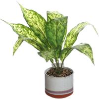 Planta artificial de hojas claras en maceta blanca KASA, 10x10x23 cm