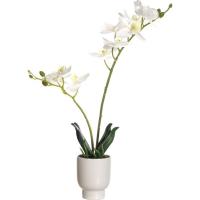 Planta artificial en maceta, orquidea blanca KASA, 8x8x42 cm