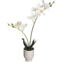 Planta artificial en maceta, orquidea blanca KASA, 8x8x42 cm