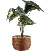 Planta artificial alta en maceta seagrass KASA, 15x48x15 cm