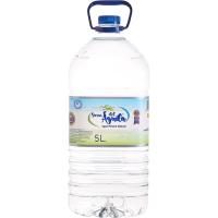 AGUA M. SIERRA DEL AGUILA 5L