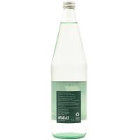 Agua mineral con gas INSALUS, botella 1 litro