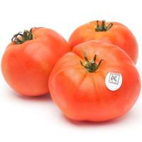 EUSKO LABEL tomatea, pisura, gutxieneko erosketa 500 g