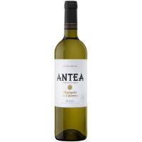 Vino Blanco Ferm. en Barrica Rioja ANTEA, botella 75 cl