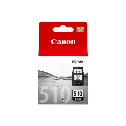 Canon 2970B001 cartucho de tinta 1 pieza(s) Original Foto negro