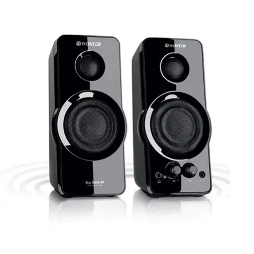 Woxter Big Bass 95 De 2 vías Negro Alámbrico 20 W