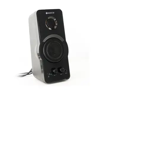 Woxter Big Bass 95 De 2 vías Negro Alámbrico 20 W