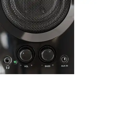 Woxter Big Bass 95 De 2 vías Negro Alámbrico 20 W