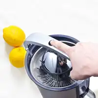 Exprimidor de Palanca PRIXTON (160 W - Capacidad 800 ml)