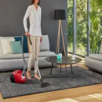 Rowenta Compact Power RO3953 3 L Aspiradora cilíndrica Secar 900 W Bolsa para el p