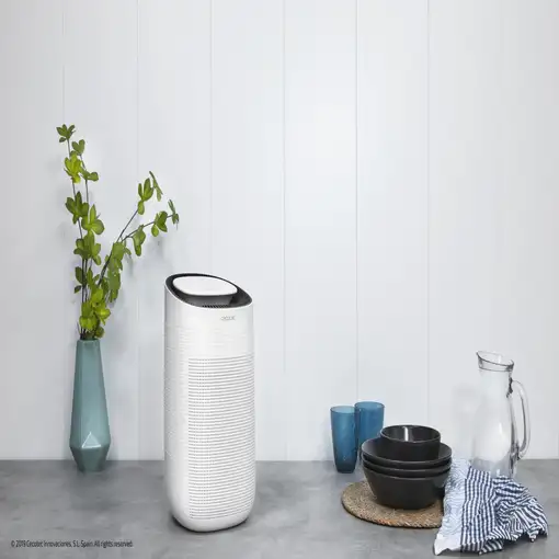 Cecotec Big Dry 2500 Pure Light 1 L 45 W Blanco