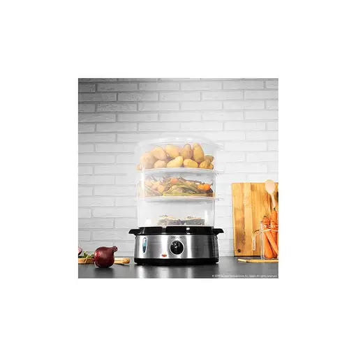 Cecotec Vapovita 3000 Inox vaporizador Independiente 800 W Negro, Acero inoxidable