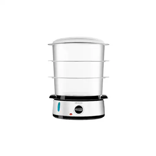 Cecotec Vapovita 3000 Inox vaporizador Independiente 800 W Negro, Acero inoxidable
