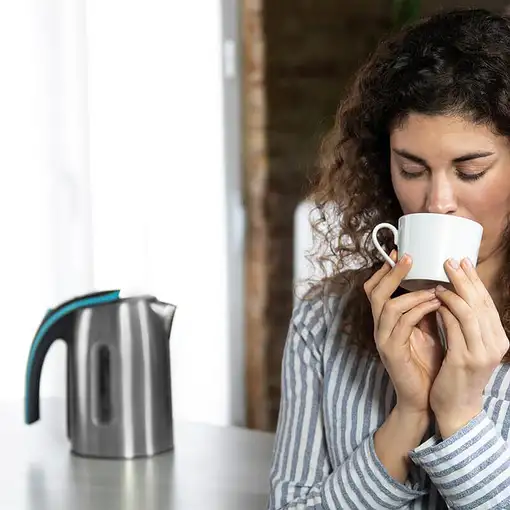 Cecotec ThermoSense 270 Steel tetera eléctrica 1,7 L 2200 W Acero inoxidable