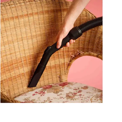 Aspiradora cilíndrica Secar 800 W Sin bolsa S94811100  SOLAC