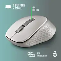 DEWWHITE